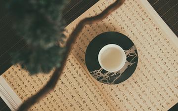 Успей записаться на Китайский