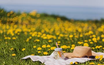 Пикник со смыслом